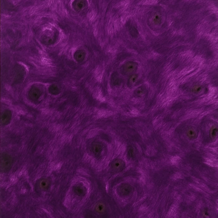 purple shell