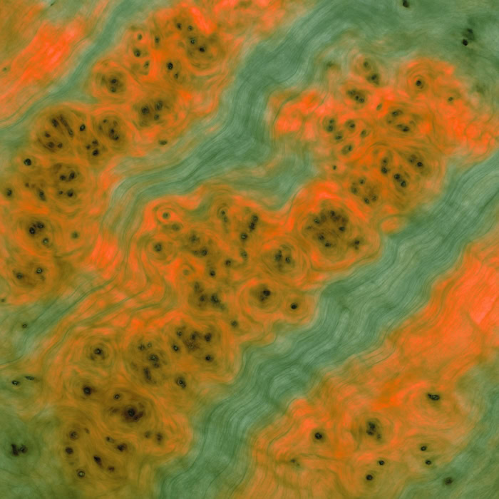 chestnut burl