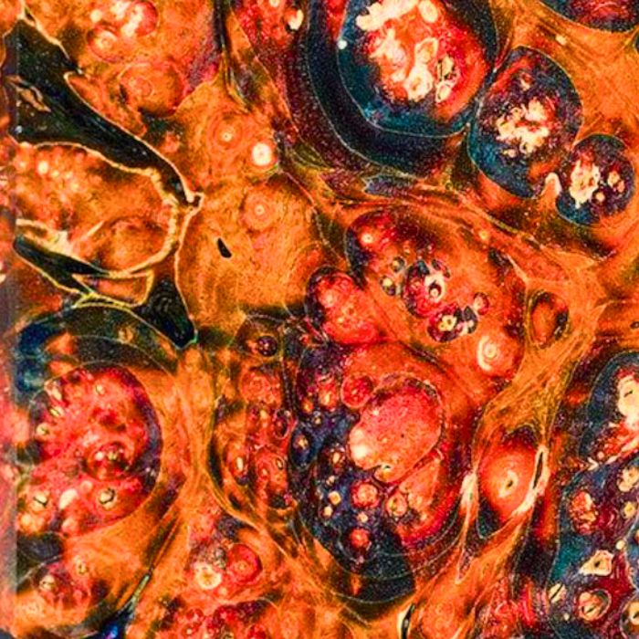 ederl burl