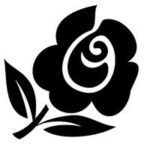 15. Rose